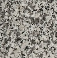 Fönsterbänk i klassisk italiensk Bianco Sardo granit, vit och grå.
