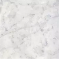 Carrara_CD_4f75b143bc2d0