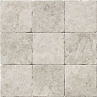 silver-shadow-tumlad-10x106