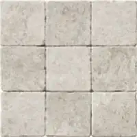 silver-shadow-tumlad-10x106